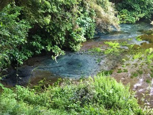 IMG_1847